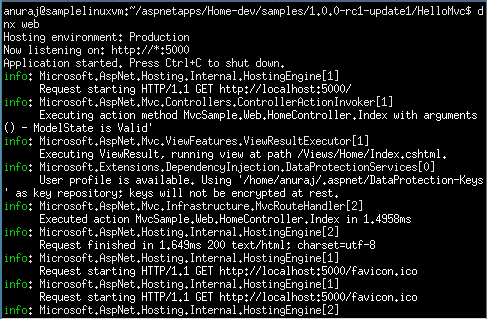 DNX Web Command running on Ubuntu Terminal