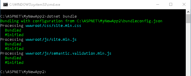 Bundle and Minification completed with dotnet bundle command