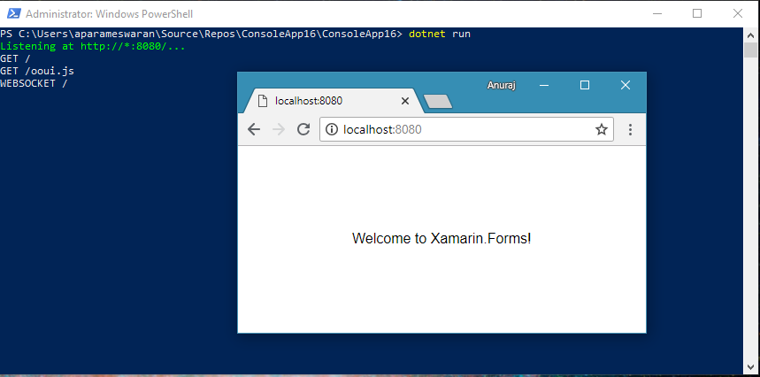 Ooui Xamarin forms running on Console app