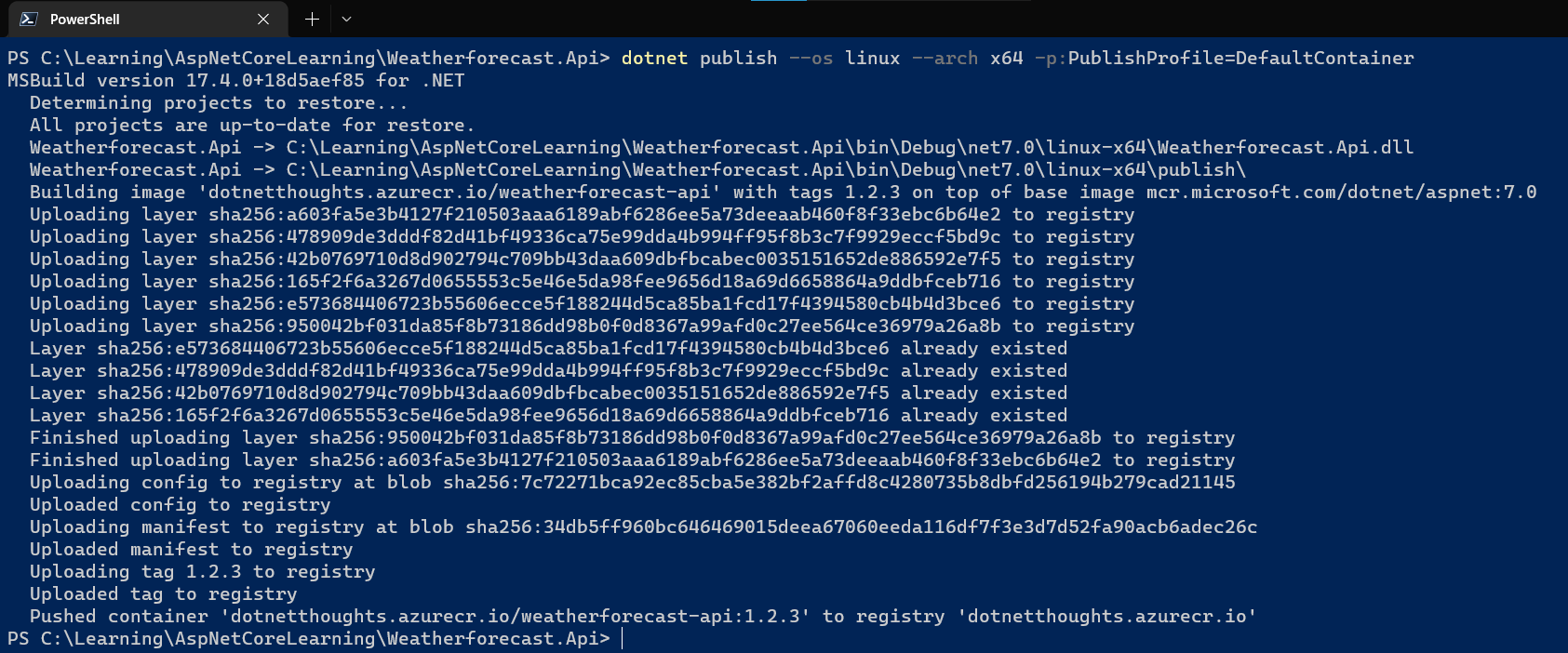 dotnet publish to Azure Container Registry