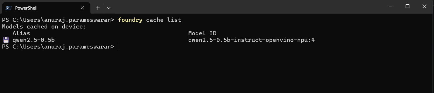 Foundry Cache list command.